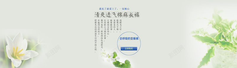 淘宝亚麻裤子简约背景图psd设计背景_新图网 https://ixintu.com 海报banner 文艺 简约 花卉 豆绿 淘宝 亚麻裤子 小清新