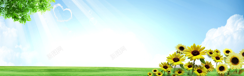 清爽大气蓝天向日葵淘宝海报背景psd设计背景_新图网 https://ixintu.com 海报banner 淘宝banner 淘宝海报 其他 海报