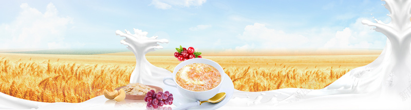 干果葡萄anner创意设计jpg设计背景_新图网 https://ixintu.com 食品 水果 风景 淘宝 节日 1920PX 环保 海报banner 其他