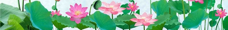 夏季荷花海报背景模板psd设计背景_新图网 https://ixintu.com 夏季 荷花 海报 背景模板 立夏 赏花 旅行 活动 宣传