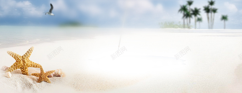 夏季海边背景jpg设计背景_新图网 https://ixintu.com 夏季 海边 海星 详情页海报