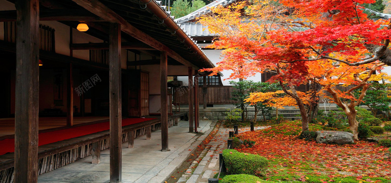 秋天的庭院jpg设计背景_新图网 https://ixintu.com 秋天 庭院 木屋 树 枫叶树 海报banner 摄影 风景