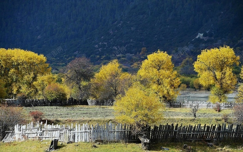 风景素材背景PNGjpg设计背景_新图网 https://ixintu.com 风景 素材 背景 PNG