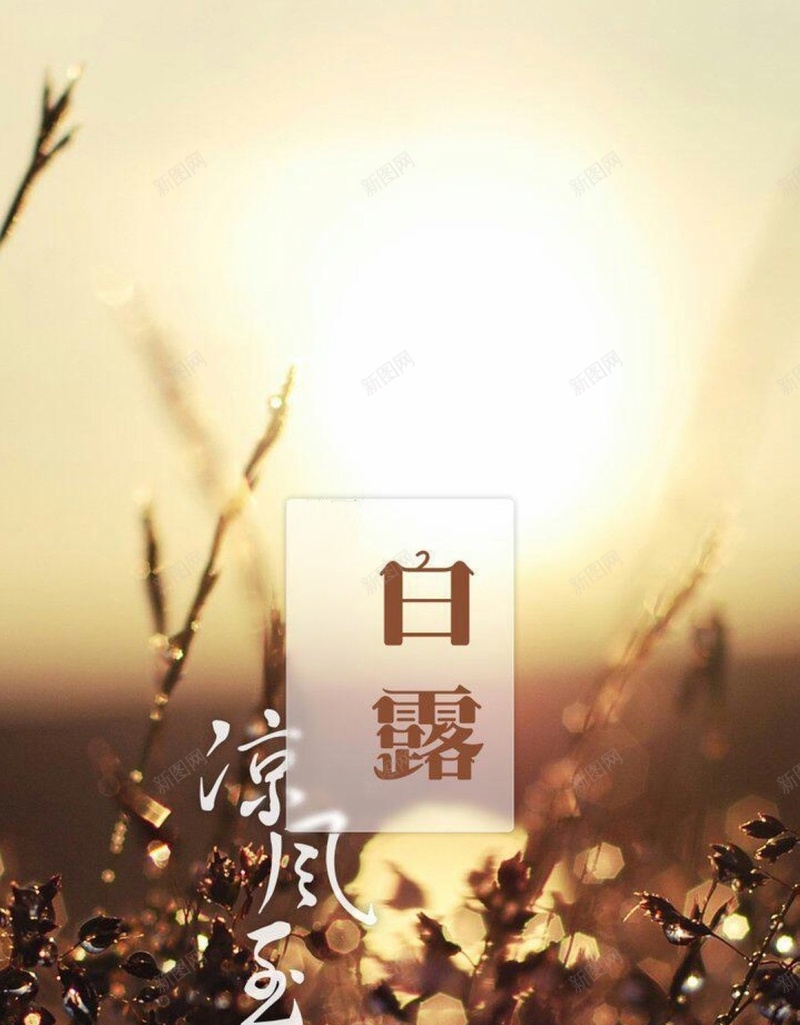 黄昏H5背景jpg设计背景_新图网 https://ixintu.com 文艺 白露 节气 H5背景