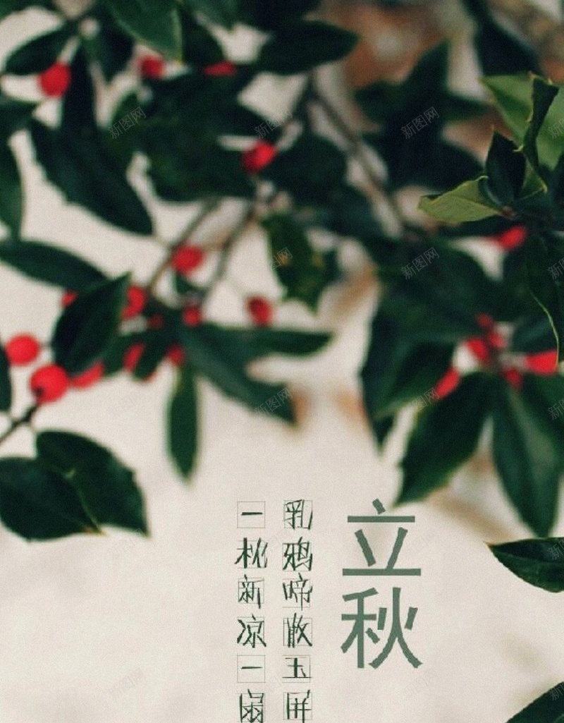 小清新节气H5背景jpg设计背景_新图网 https://ixintu.com 文字控 秋天 秋季 立秋 节气 H5背景 小清新 H5 h5 文艺 简约