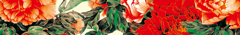 古风富贵牡丹海报背景psd设计背景_新图网 https://ixintu.com 花 花卉 牡丹 鸟 竹子 古风 中国风