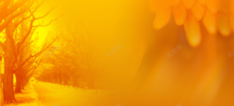虚化背景jpg设计背景_新图网 https://ixintu.com 唯美 插画 秋天 红树 树 树林 海报banner 卡通 童趣 手绘