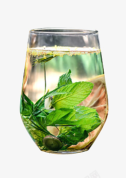 夏季茉莉薄荷茶png免抠素材_新图网 https://ixintu.com 夏季 茉莉 薄荷 茶