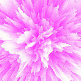 3D立体牡丹花png免抠素材_新图网 https://ixintu.com (立体) (牡丹花) (少女) (粉嫩)(3D)