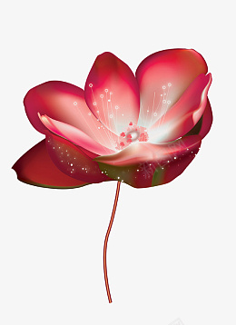 花psd免抠素材_新图网 https://ixintu.com 花红色