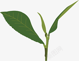 绿色叶子装饰物ai免抠素材_新图网 https://ixintu.com 装饰物 绿色 叶子 植物