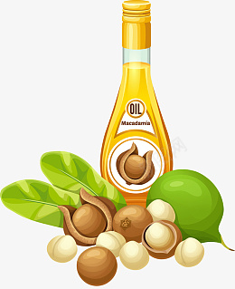 厨房用具设计素材png免抠素材_新图网 https://ixintu.com 卡通有趣 矢量图案 扁平化 坚果 免抠图 食用油