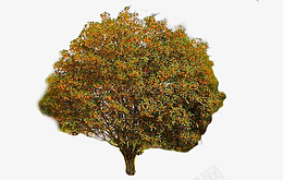 树丛中的树木png免抠素材_新图网 https://ixintu.com 绿色 植被 树木 树丛