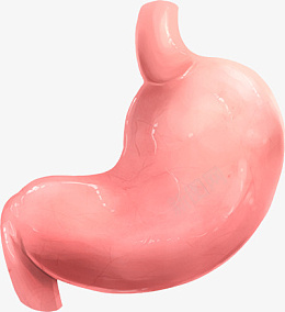 透明png肠胃呵护肠胃png免抠素材_新图网 https://ixintu.com 肠胃 胃 红色 PNG