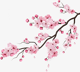 精美手绘中国风樱花斜枝素材png免抠素材_新图网 https://ixintu.com 手绘 中国风 水彩画 樱花 桃花 落花 花瓣