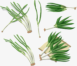 大葱很多课便宜卖png免抠素材_新图网 https://ixintu.com 大葱 植物 蔬菜 香料
