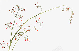 手绘植物花草绿色png免抠素材_新图网 https://ixintu.com 手绘 植物 花草 绿色