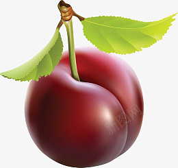 卡通黑布丁植物水果png免抠素材_新图网 https://ixintu.com 卡通 黑布丁 植物 水果