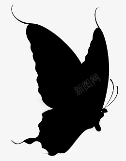 大蝴蝶黑色阴影面积png免抠素材_新图网 https://ixintu.com 蝴蝶 大 黑色 阴影