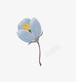文艺粉色蓝花朵png免抠素材_新图网 https://ixintu.com 花 花朵 动画 文艺