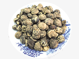 花菇野生花菇png免抠素材_新图网 https://ixintu.com 药材 补品 滋补 养生 养生保健 中药 炖汤 炖汤药材 中药材 中医 中医文化 药店 药铺 中药店 中药养生 中药素材 中医中药 中药泡酒 中药广告 中医广告 药材店 补气 补血 补阴 补阳 冬季滋补
