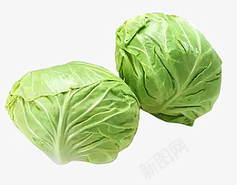 新鲜蔬菜包菜png免抠素材_新图网 https://ixintu.com 包菜 蔬菜 生鲜 绿叶菜