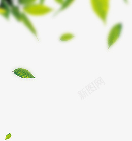 模糊的绿色落叶背景png免抠素材_新图网 https://ixintu.com 绿叶 落叶 模糊效果 背景 漂浮