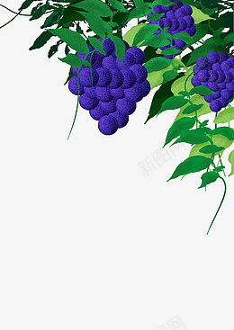 手绘噪点插画葡萄psd免抠素材_新图网 https://ixintu.com 葡萄 水果 葡萄架 紫葡萄
