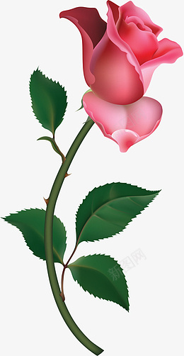 免抠一朵红色玫瑰花素材png免抠素材_新图网 https://ixintu.com 一朵 红色 玫瑰 花