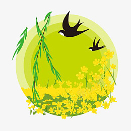 春分燕子油菜花png免抠素材_新图网 https://ixintu.com 春分 燕子 油菜花 春天