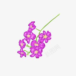 紫羅蘭紫色花手绘紫罗兰手绘紫色花png免抠素材_新图网 https://ixintu.com 紫羅蘭 紫色花 手绘紫罗兰 手绘紫色花