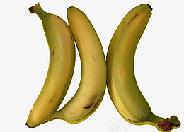 水果香蕉黄色png免抠素材_新图网 https://ixintu.com 水果 香蕉 黄色 banana