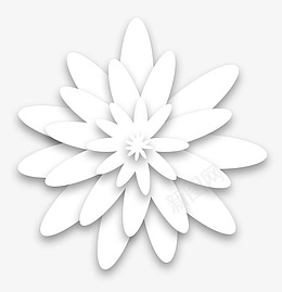 小白花花花装饰花png免抠素材_新图网 https://ixintu.com 小白花 花花 花 装饰