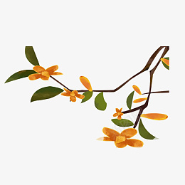 手绘桂花秋天古风png免抠素材_新图网 https://ixintu.com 手绘 桂花 秋天 古风 中秋