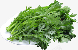 新鲜的蔬菜茼蒿png免抠素材_新图网 https://ixintu.com 新 鲜 的 蔬 菜 茼 蒿
