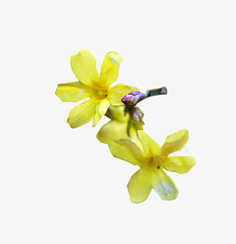 一朵漂亮的鲜花真好看png免抠素材_新图网 https://ixintu.com 可爱花朵 粉色桃花 粉色花朵 红色花朵 一朵花 一朵 桃花 漂亮