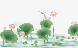 夏日立夏荷花荷叶蜻蜓png免抠素材_新图网 https://ixintu.com 蜻蜓 夏荷 荷花 荷叶