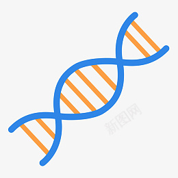 一段手绘的基因链png免抠素材_新图网 https://ixintu.com 基因链 扁平化 生物学 遗传学 基因 手绘 遗传