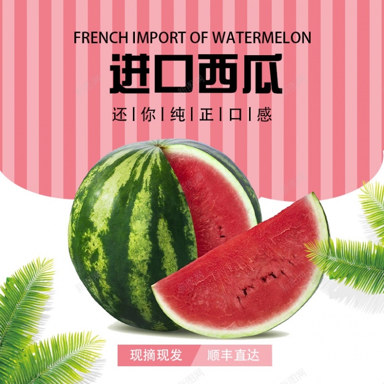 粉色简约风水果西瓜生鲜电商淘宝800800psd设计背景_新图网 https://ixintu.com 粉色 简约 风水 水果 西瓜 生鲜 电商 淘宝
