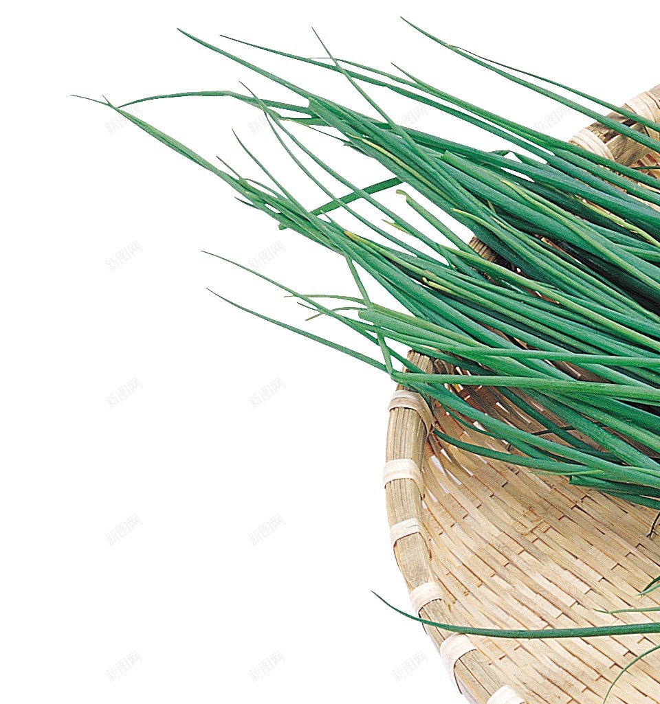 新鲜的青蒜青蒜苗蒜苔图片png免抠素材_新图网 https://ixintu.com 青蒜 青蒜苗 新鲜 蒜苔 蒜苗 蔬菜