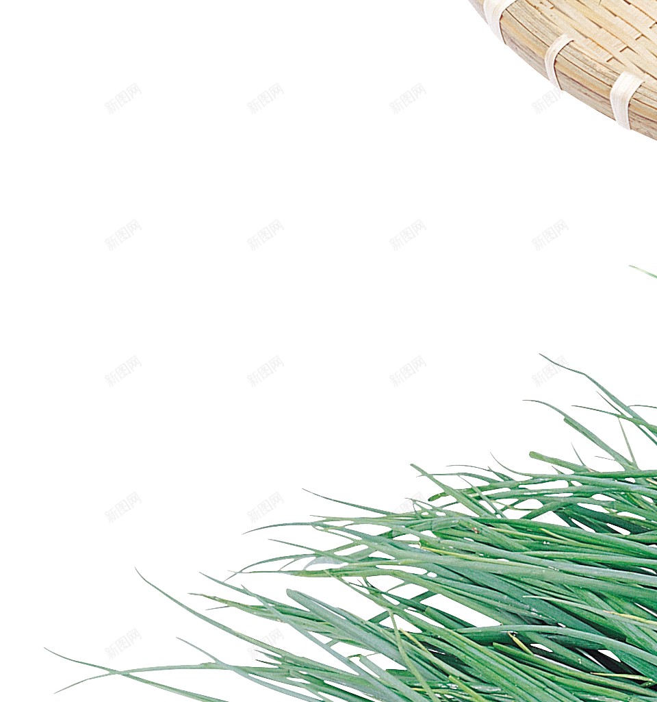 新鲜的青蒜青蒜苗蒜苔图片png免抠素材_新图网 https://ixintu.com 青蒜 青蒜苗 新鲜 蒜苔 蒜苗 蔬菜