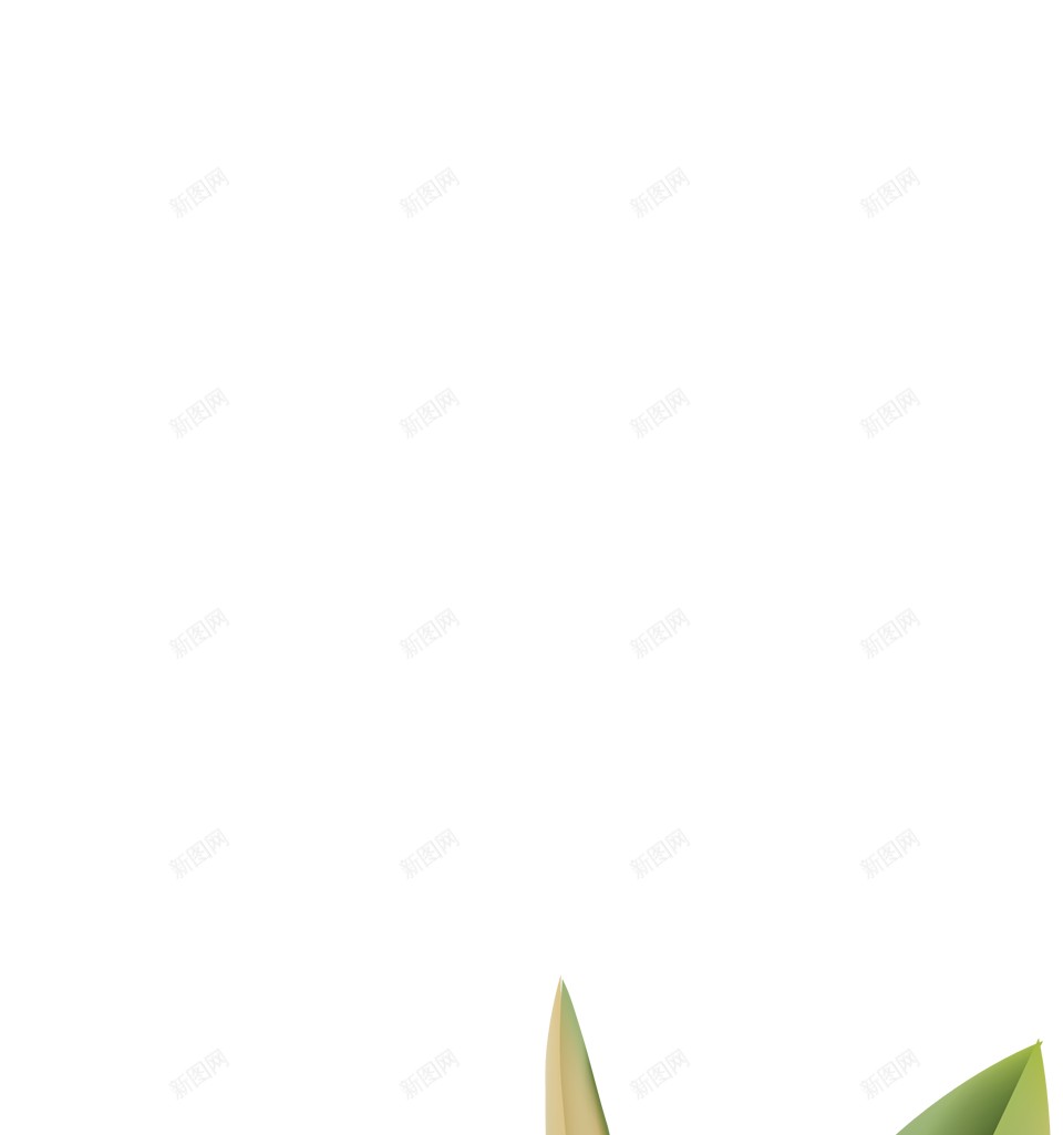 油橄榄齐墩果png免抠素材_新图网 https://ixintu.com 油橄榄 齐墩果