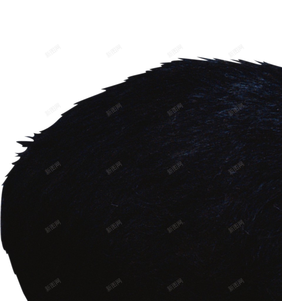 野猪未阉的公猪png免抠素材_新图网 https://ixintu.com 未阉的公猪 野猪