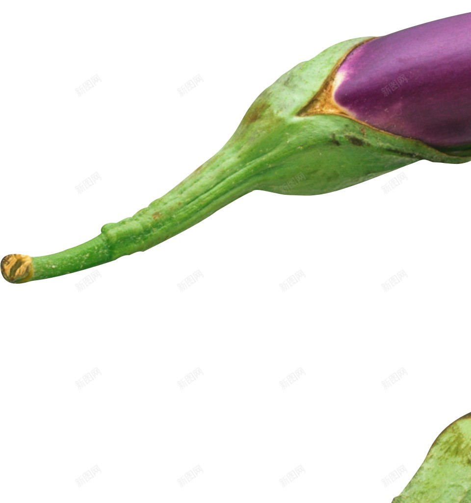 茄子png免抠素材_新图网 https://ixintu.com 茄子