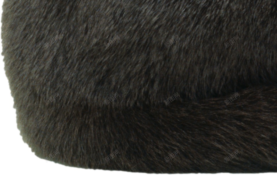 猫猫科动物png免抠素材_新图网 https://ixintu.com 猫 猫科动物
