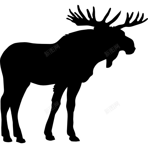 Mooseelkpng免抠素材_新图网 https://ixintu.com Moose elk