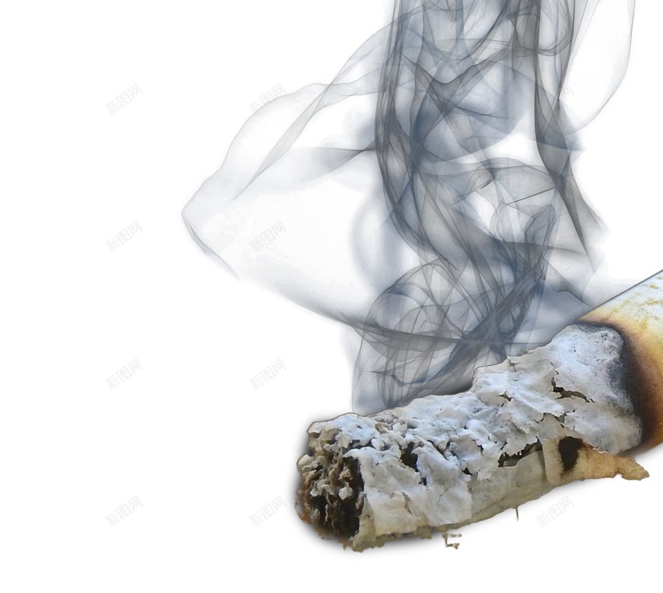 烟叶烟草png免抠素材_新图网 https://ixintu.com 烟叶 烟草