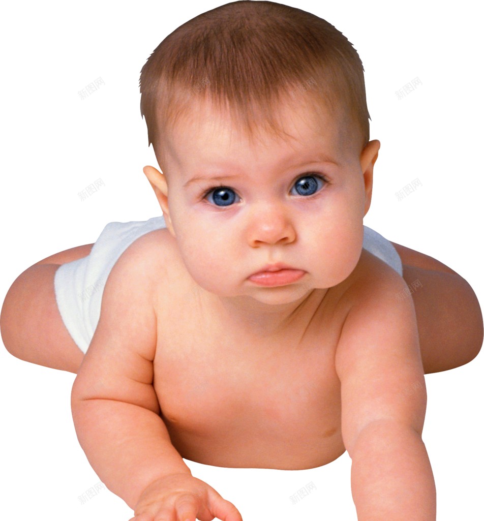 婴儿动物幼崽png免抠素材_新图网 https://ixintu.com 动物幼崽 婴儿