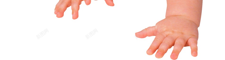 婴儿动物幼崽png免抠素材_新图网 https://ixintu.com 动物幼崽 婴儿