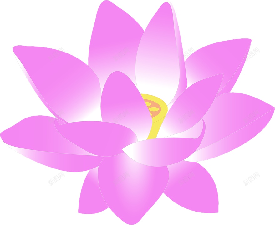 手绘粉红色莲花图案png免抠素材_新图网 https://ixintu.com 卡通 可爱 夏天 夏季 插画 池塘 荷叶 开放 荷花 精美 莲花 纯洁